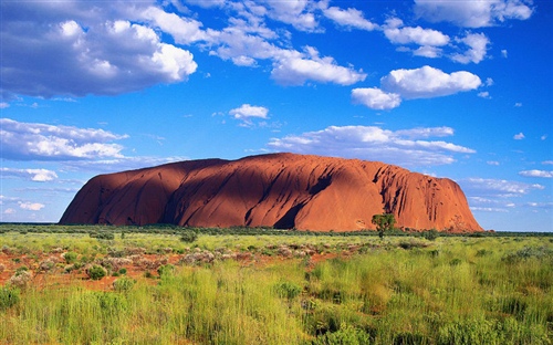 開端司機女兒怎么死的?電視劇《開端》司機女兒死因是什么？
