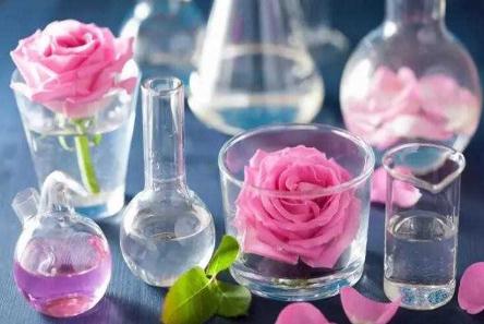 常見的純露有哪些