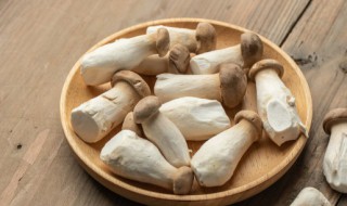 菌菇可以秋天種嗎，菌菇可以秋天種嗎視頻