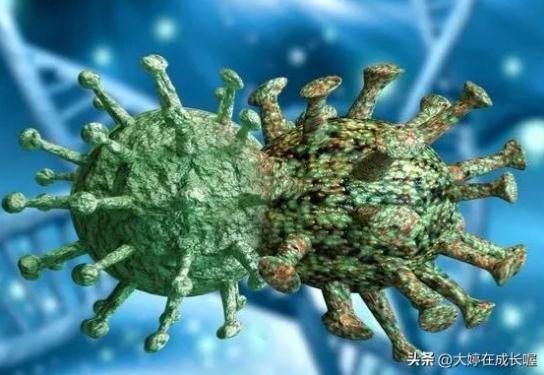 XBB毒株到底該怎么預防？我們一起來了解一下