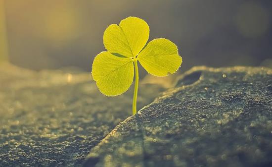 olay小白瓶是肌底液還是精華 歐萊雅肌底液可以和olay小白瓶一起用嗎