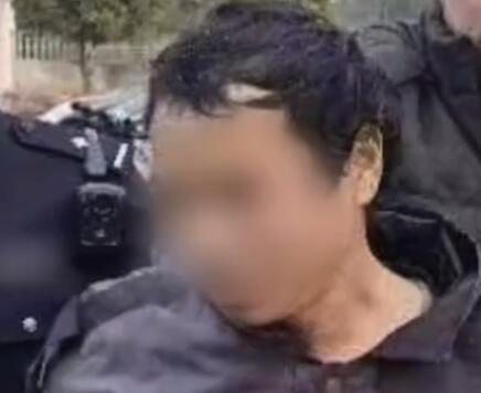 江西留守家庭祖孫4人遇害 嫌犯落網 內幕曝光簡直太意外了