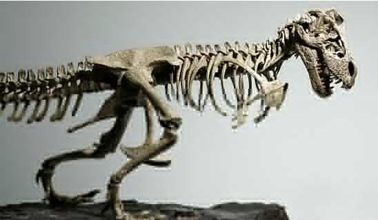 被壓扁的沙子主要內容 被壓扁的沙子說明了什么