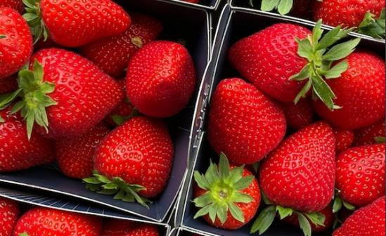 丹東站幾乎每人都拎著泡沫箱子 熱怎么回事呢？