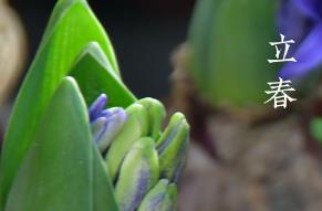 2023年<a href=/shenghuo/213fd0de7942df5b48b78f3e70d2e6c1.html target=_blank class=infotextkey>立春</a>是幾月幾日 <a href=/shenghuo/213fd0de7942df5b48b78f3e70d2e6c1.html target=_blank class=infotextkey>立春</a>的“倒春寒”介紹