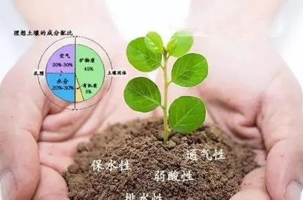 土壤有機質含量與什么有關 土壤有機質含量標準