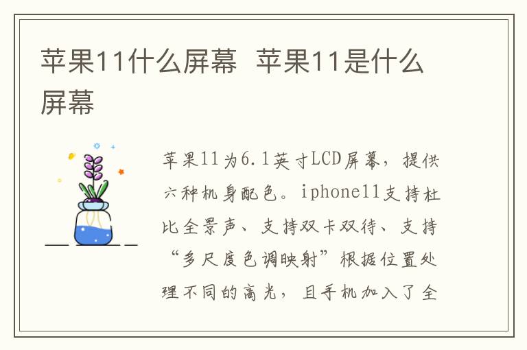 蘋果11什么屏幕 蘋果11是什么屏幕