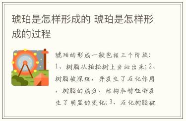 琥珀是怎樣形成的 琥珀是怎樣形成的過程