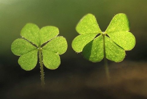 防疫情愛家園手抄報(bào) 防疫情愛家園手抄報(bào)畫報(bào)