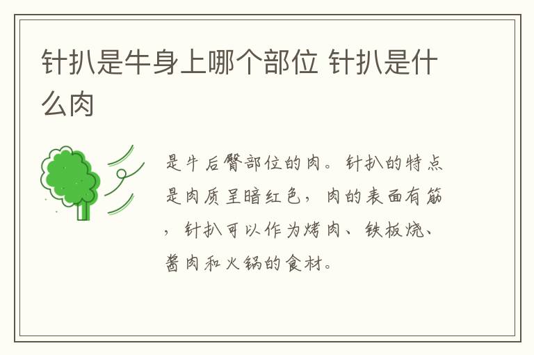 針扒是牛身上哪個部位 針扒是什么肉
