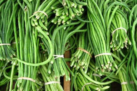 豇豆是雙子葉還是單子葉？種植條件有有哪些？