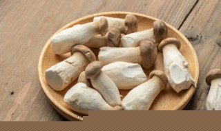 秋天種香椿種子可以嗎（香椿種子怎樣播種）