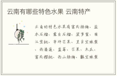 云南有哪些特色水果 云南特產