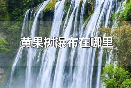 黃果樹瀑布在哪里(貴州黃果樹瀑布在哪里)