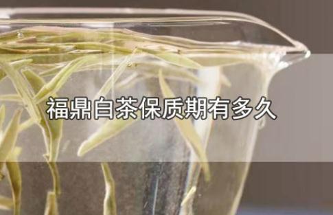 福鼎白茶保質期有多久