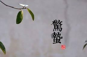 <a href=/shenghuo/000f16f138862f519f24ed5487712fcb.html target=_blank class=infotextkey>驚蟄</a>是什么意思 <a href=/shenghuo/000f16f138862f519f24ed5487712fcb.html target=_blank class=infotextkey>驚蟄</a>節氣介紹資料