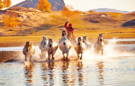 丙午年是什么命  丙午年生人五行屬什么命