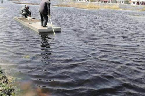 腐植酸鈉水產養殖作用 腐植酸鈉在水產養殖中的作用