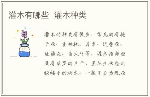 灌木有哪些  灌木種類