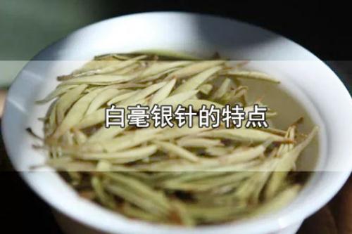 白毫銀針的特點 白毫銀針的保存方法