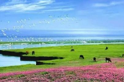 鄱陽湖讀bo還是po，鄱字讀音是po(是中國最大的淡水湖)