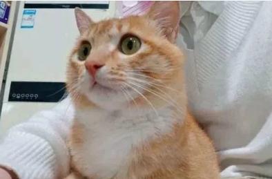 高中生不聽話怎么辦 高中生不聽話家長的做法