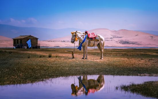 丙午年是什么意思 丙午年是哪一年