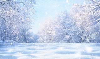 新疆冬至吃什么傳統食物（新疆人冬至吃什么）