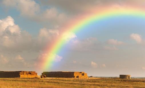 為什么下雨之后會(huì)出現(xiàn)彩虹呢 答案原來是這樣啊！