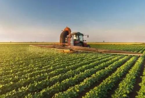 農(nóng)業(yè)補貼都包括哪些項目(農(nóng)業(yè)項目補貼有哪些)