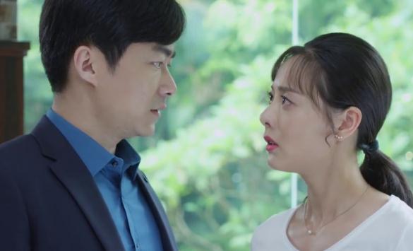 吳毅袁梅花是什么電視劇 吳毅袁梅花的電視劇