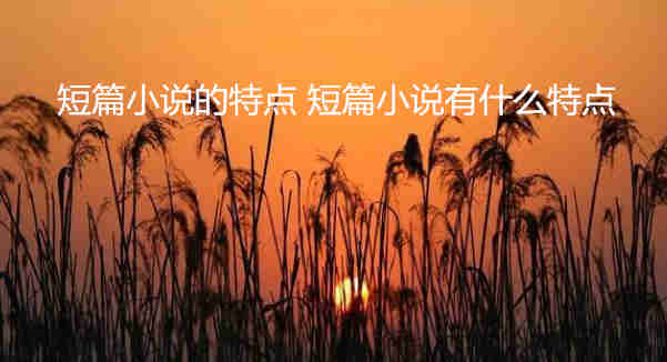 短篇小說的特點(diǎn) 短篇小說有什么特點(diǎn)