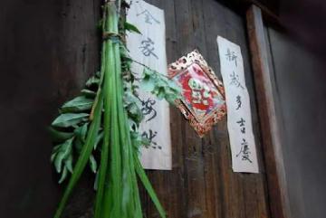 端午節插艾草的來歷(端午節插艾草的由來)