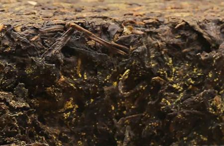 黑茶長毛了能不能喝？黑茶長毛了怎么辦？