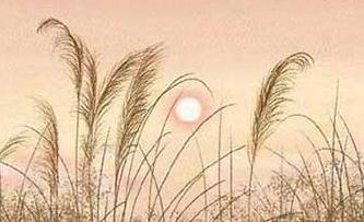 禍不單行歇后語下一句  禍不單行上一句怎么接