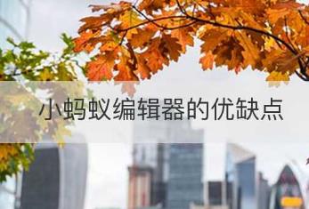 小螞蟻編輯器的優(yōu)缺點(diǎn)