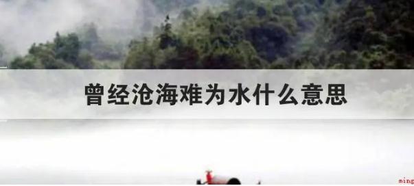 曾經滄海難為水什么意思  曾經滄海難為水什么意思出自哪里
