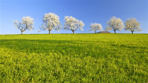 合并的反義詞是什么 合并的反義詞及介紹