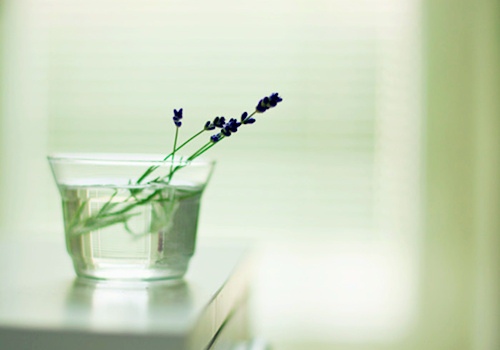 松散的反義詞 松散的反義詞有哪些