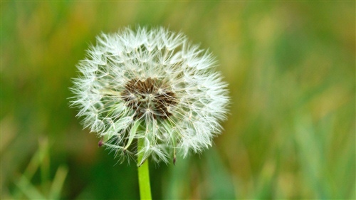 夸獎的反義詞是什么 夸獎的反義詞及意思