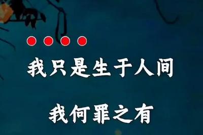 歌詞我可能生來有罪是什么歌（魏佳藝的歌曲“生于人間何罪之有”）