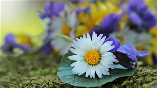 破裂的反義詞是什么  破裂的反義詞及簡介