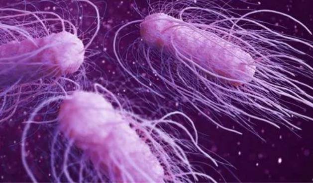 日本百年溫泉旅館被曝半年不換水  溫泉水中的軍團菌超標3700倍