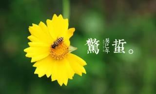 月夜反映的節(jié)氣是指的什么時(shí)候（詩詞鑒賞之劉方平的月夜）