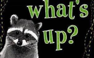 What’s up什么梗?What’s up怎么回答?