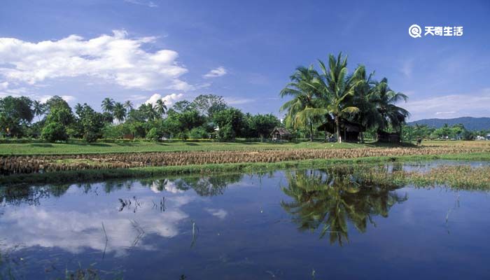蘇伊士運河屬于哪個國家