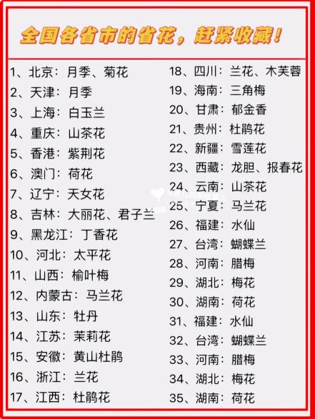 全國各省市的省花（中國各省省花一覽表 完整版），趕緊收藏！