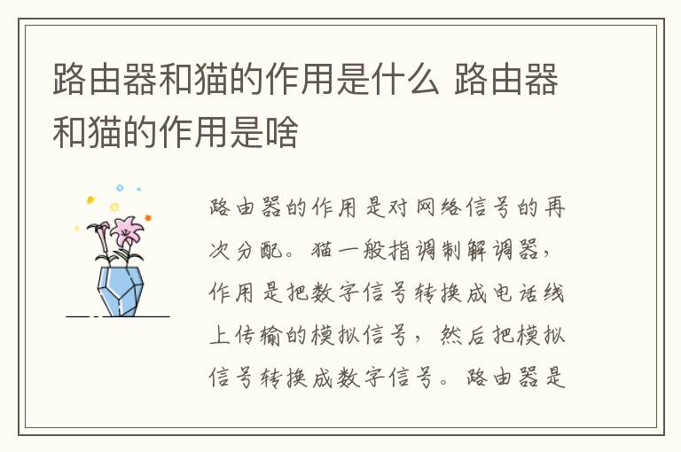 路由器和貓的作用是什么 路由器和貓的作用是啥