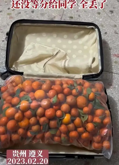 比丟錢還難受！女生帶50斤砂糖橘返校結果全丟了-第1張圖片