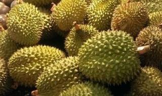 榴蓮產(chǎn)地在我國(guó)哪里  榴蓮產(chǎn)地有中國(guó)的哪里